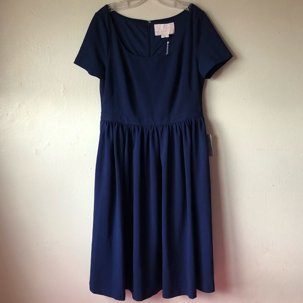 Gal Meet Glam Fit and Flare Dress